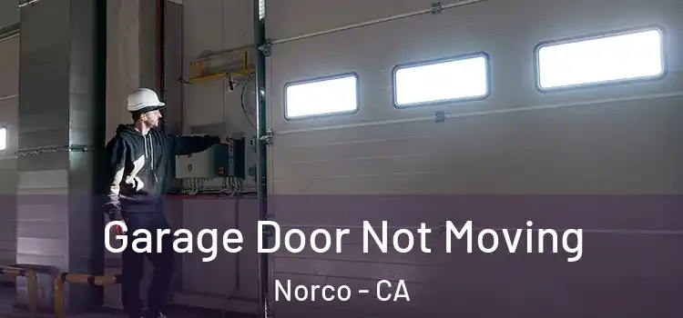  Garage Door Not Moving Norco - CA