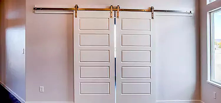 Glass Barn Door with Installation Hardware Kit Norco