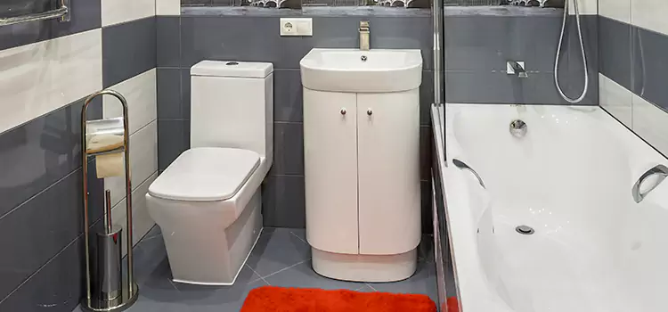 Hansgrohe Shaving Mirror Norco