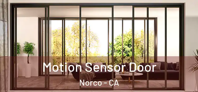 Motion Sensor Door Norco - CA