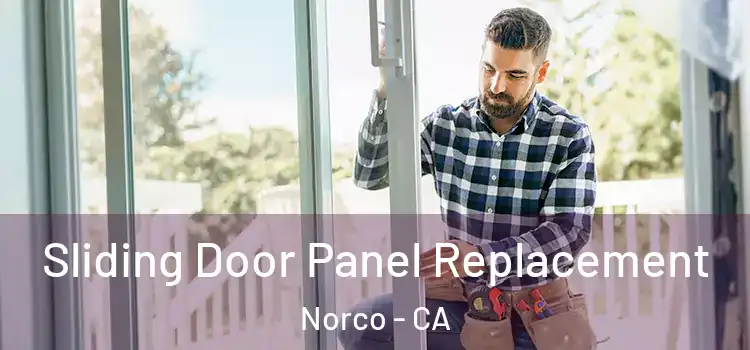  Sliding Door Panel Replacement Norco - CA